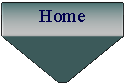 Tekstvak:        Home